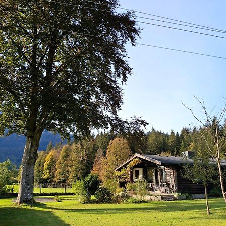 Chalet Scheffsnoth Lofer Buitenkant foto