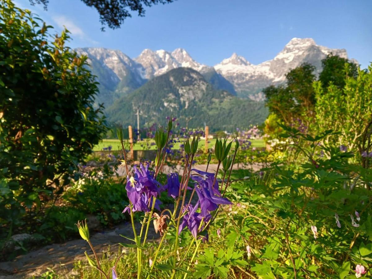 Chalet Scheffsnoth Lofer Buitenkant foto