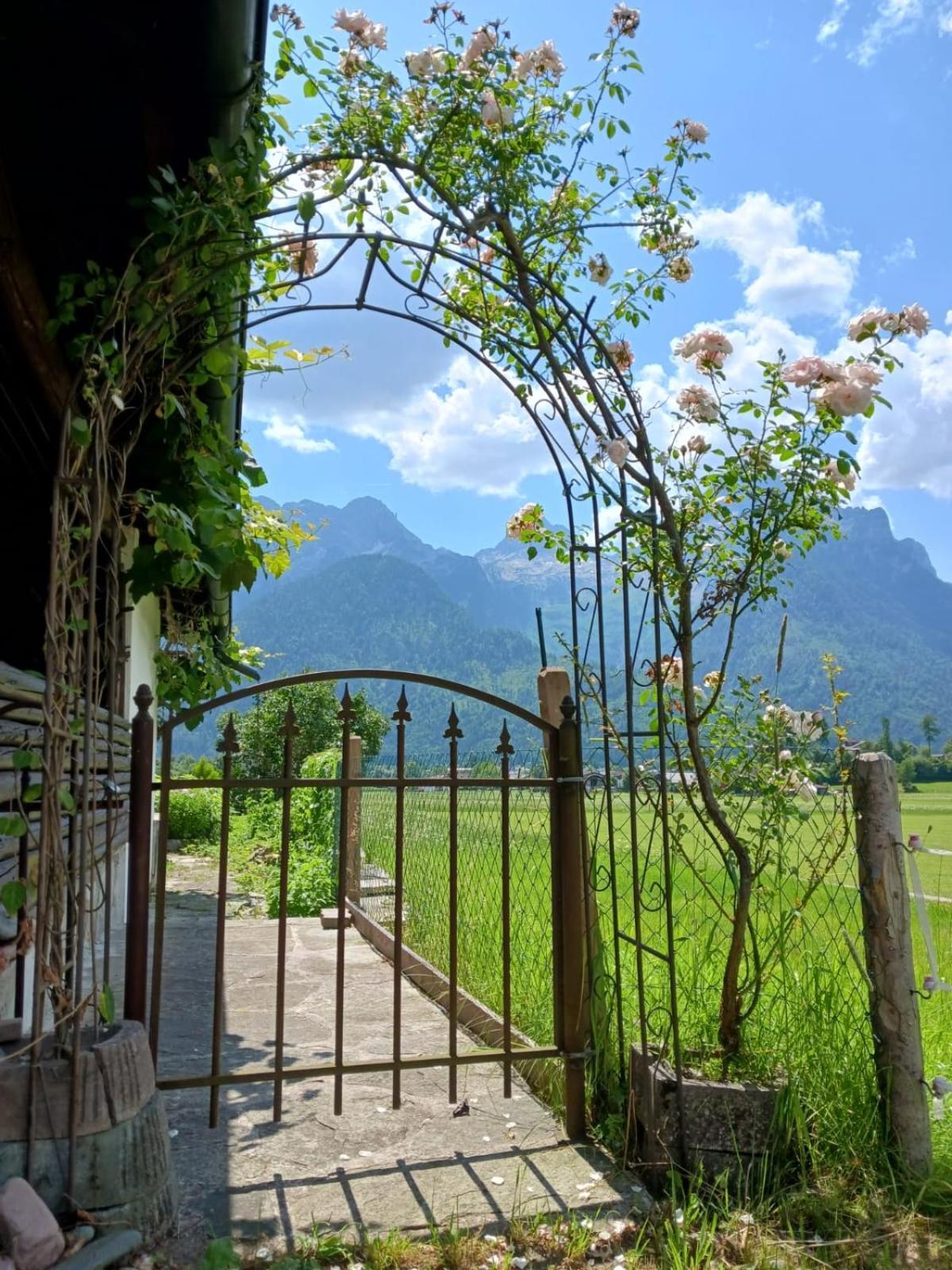 Chalet Scheffsnoth Lofer Buitenkant foto