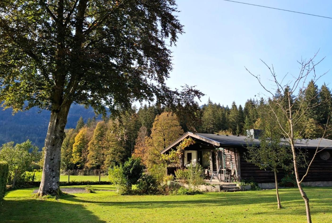 Chalet Scheffsnoth Lofer Buitenkant foto