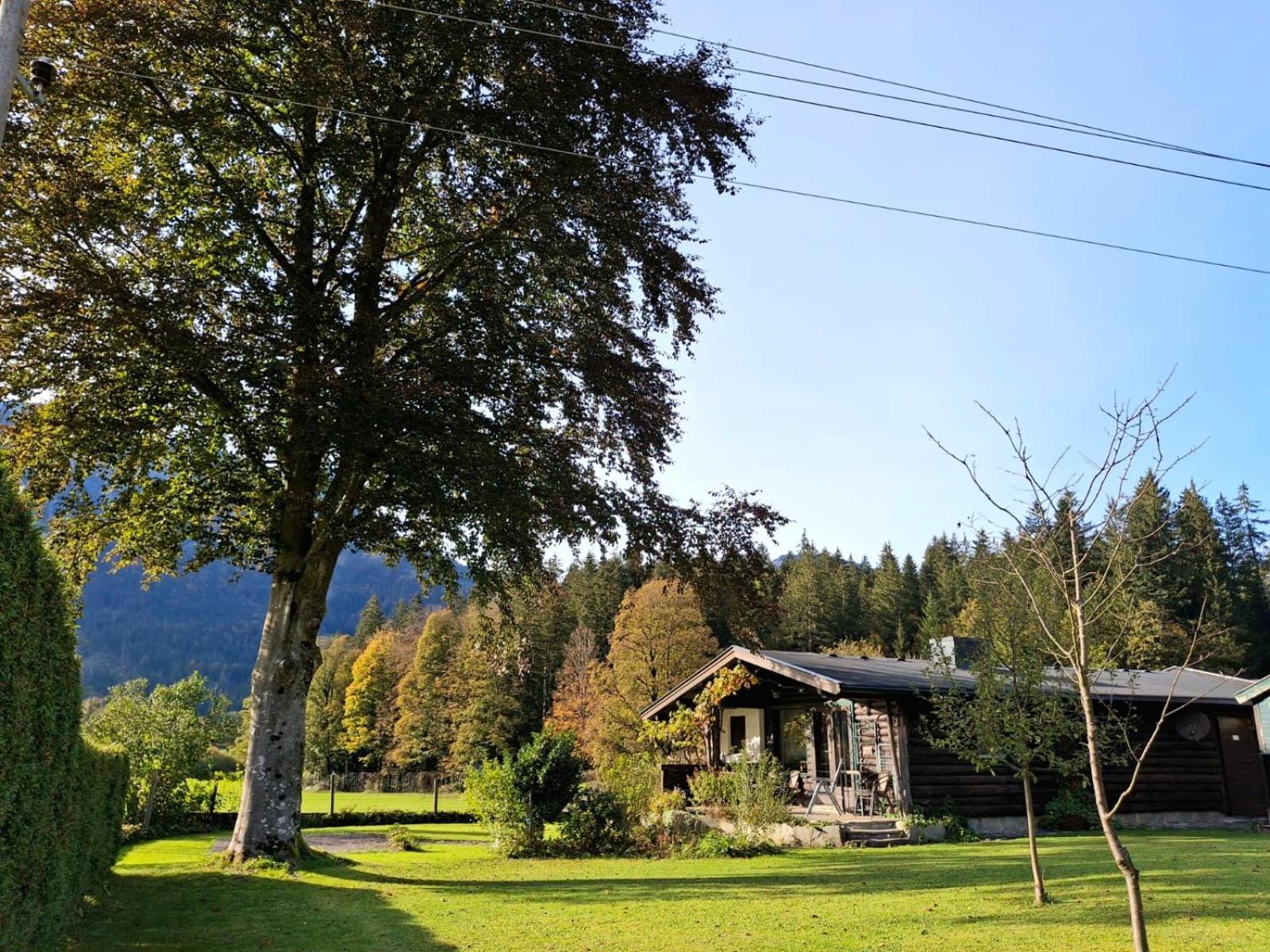 Chalet Scheffsnoth Lofer Buitenkant foto